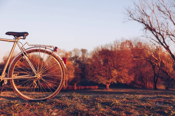 세부 바퀴에 푸른 잔디에 자전거의 화려한 희미 한 — 스톡 사진