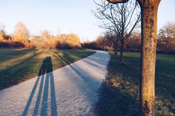 Silueta de sombra sobre hierba - parque — Foto de Stock