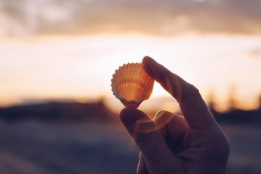 Bir kabuk sahilde günbatımı - wint tutan el yakın çekim
