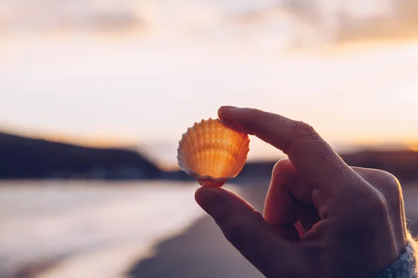 Bir kabuk sahilde günbatımı - wint tutan el yakın çekim