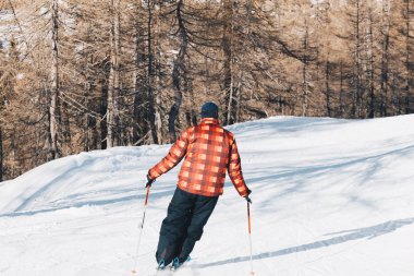 Ormanda - yokuş aşağı yüksek Dağları'nda yamaç aşağı kayak kayakçı