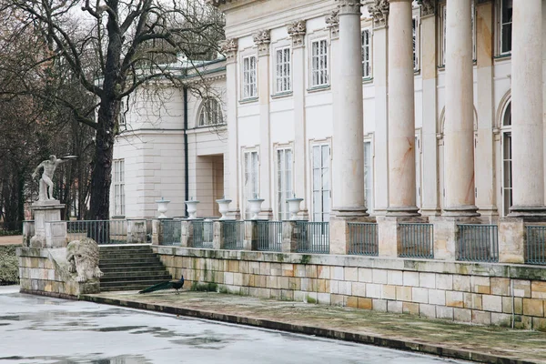 Pavão em Lazienki ou Royal Baths park em Varsóvia, na Polônia — Fotografia de Stock