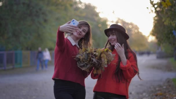 Autumn season, young smiling girlfriends take selfie with flying leaves walking in park during fall foliage — Stock Video