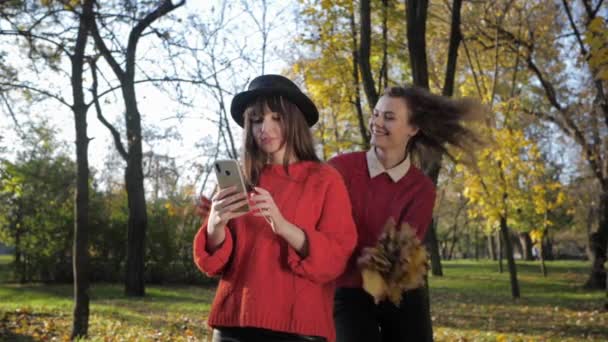 Gyönyörű lányok érezzék jól magukat az őszi parkban, dobáljanak leveleket és készítsenek egy szelfit egy mobilon az őszi szezonban. — Stock videók