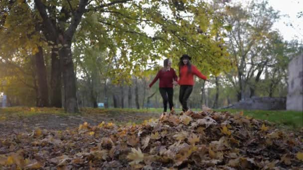 Vriendschappen, twee mooie glimlachende vriendinnen rennen hand in hand en gooien bladeren in de herfst park in de herfst seizoen — Stockvideo