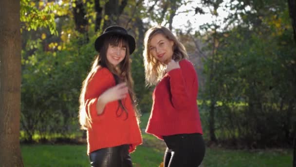 Día de otoño, las chicas atractivas se ríen y llaman para jugar con hojas amarillas bajo el sol en hermosas vacaciones cálidas en el parque, mientras que las vacaciones al aire libre — Vídeos de Stock