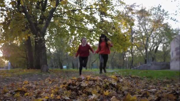 divertissements d'automne, charmantes amies gaies courir tenant la main et écarter les feuilles tombées pieds tout en marchant parc d'automne en saison d'automne 