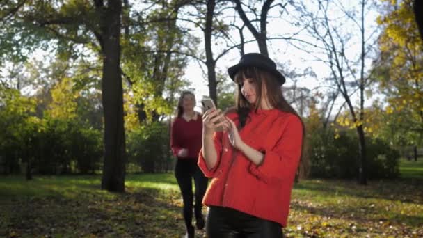 Höst tid, attraktiv leende unga kvinnliga flickvänner ta selfie på smartphone och kasta bukett gula löv i solen på en promenad tillsammans under löv falla — Stockvideo