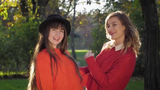 Смешные девушки, молодые привлекательные женщины улыбаются и призывают играть с осенними листьями на солнце в красивый день в парке во время отдыха на открытом воздухе — стоковое видео