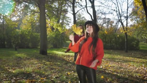 Радостная встреча, привлекательные улыбающиеся девушки счастливы на прогулке вместе и глядя на опавшие желтые листья в осеннем парке осенью сезона — стоковое видео