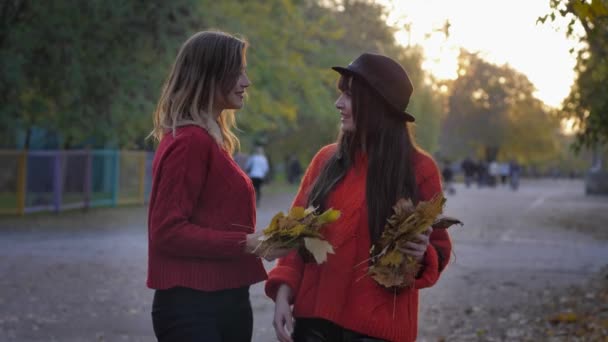 Feliz sonriente niñas divertirse saltar y girar bajo hojas caídas en otoño parque en temporada de otoño — Vídeo de stock