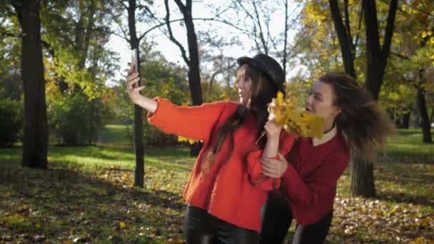 Genç güzel kız arkadaşlar, sonbahar mevsiminde altın yaprakların arka planında güzel bir parkta selfie çekerler. — Stok video