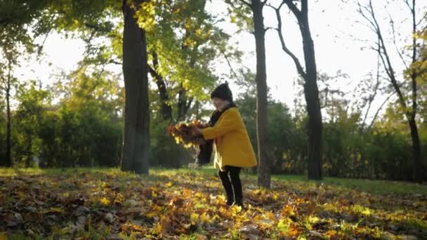 행복 한 어린 시절, 예쁜 소녀는 가을 공원에 신선 한 공기와 건강 한 생활 방식으로 노란 나뭇잎을 던져 넣습니다 — 비디오