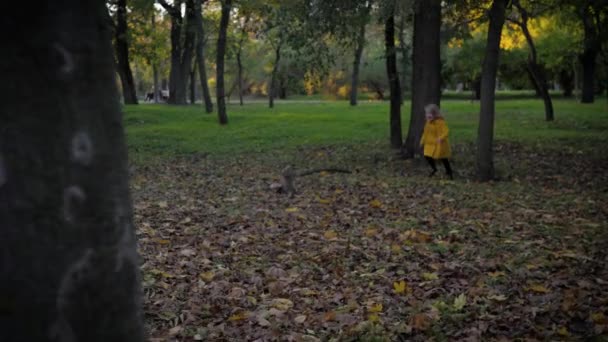 Счастливая улыбающаяся девушка весело бегает в осеннем парке во время осенней листвы на фоне деревьев — стоковое видео