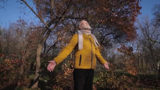 Oudere man in bril met grijze baard tijdens het wandelen geniet van de frisse lucht en de zon tijdens warme herfstdag in het park — Stockvideo