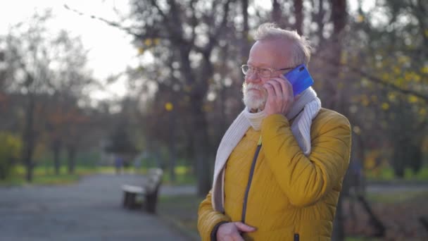 Συνταξιούχος υπαίθριος, μοντέρνος γέρος με γκρίζα γενειάδα να μιλάει σε ένα κινητό τηλέφωνο στο πάρκο του φθινοπώρου — Αρχείο Βίντεο
