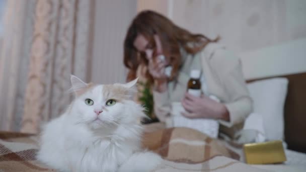 Люди и домашние животные, любимая кошка сидит на кровати, в то время как женщина страдает от вирусной инфекции, кашляет и принимает лекарства, дружелюбная поддержка — стоковое видео