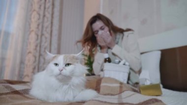 İnsanlar ve evcil hayvanlar, kanepede oturan evcil kedi hapşıran ve ilaç alan soğuk bir kadın, sağlık sigortası