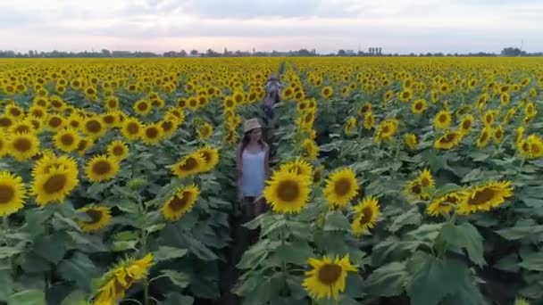 les enfants heureux s'amusent et se promènent autour du champ avec des tournesols au ralenti, belle nature 