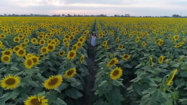 Kesäloma, teini nauttii näköalasta viljelmille, joilla on auringonkukkia ja juoksee kukkivien kasvien rivien välillä — kuvapankkivideo