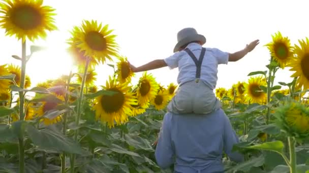 Aldeia de férias, menina com menino no pescoço andar no campo com girassóis no backlight — Vídeo de Stock