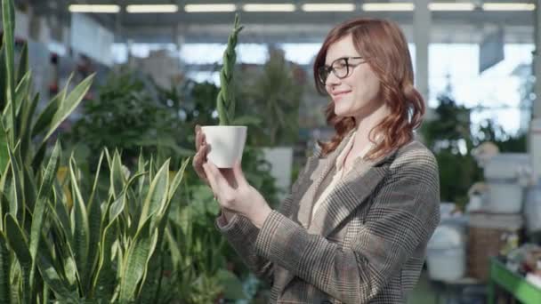 Attractive young woman chooses beautiful green flowers in pot for decorating home or office while standing in greenhouse background of houseplants in store — 비디오