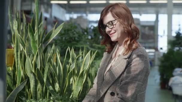 Доросла дівчина в окулярах для зору досліджує живі зелені рослини в горщиках для домашнього або офісного прикраси, стоячи в квітковому магазині на фоні зелених плантацій — стокове відео