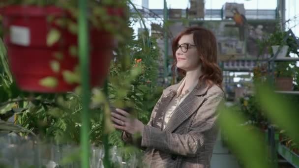 Mulher examina plantas com flores no jardim, fêmea com óculos para visão compra plantas decorativas em vasos no mercado florístico de estufa, conceito de casa e jardim — Vídeo de Stock