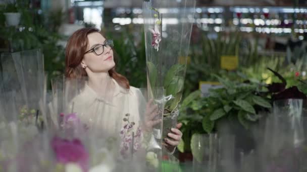 Young attractive female flower grower with glasses for vision chooses decorative flowering houseplants in pots in greenhouse of flower shop for interior decoration of house or garden — Stockvideo