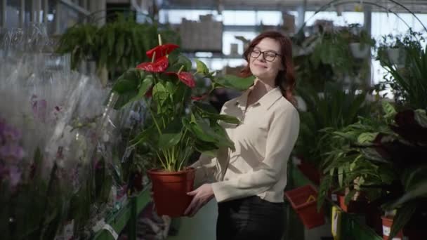 Portrait of cute young woman who is choosing flowering plant in department of houseplants in supermarket to decorate interior of apartment in background of greenhouse with green plants — Stok video