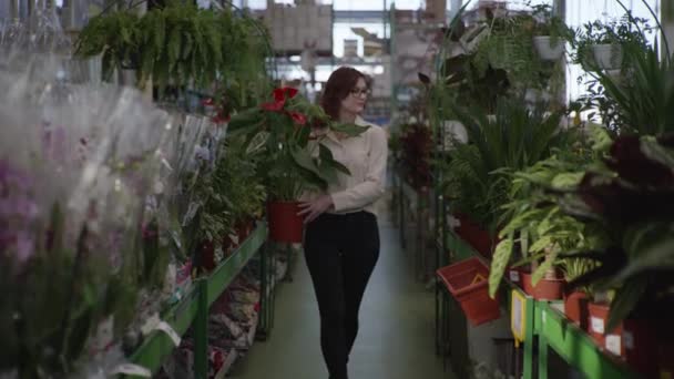 Portret van mooi meisje in glazen voor visie in kas van de bloemenwinkel met decoratieve bloem in pot op de achtergrond van planken met groene huis planten in bloemenwinkel — Stockvideo