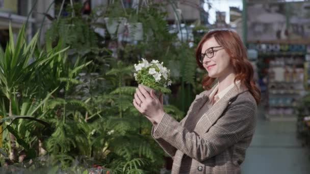 ビジョン用メガネのかわいい女性は緑の植物と棚の背景に花の店で鉢植えの屋内花を選択します — ストック動画