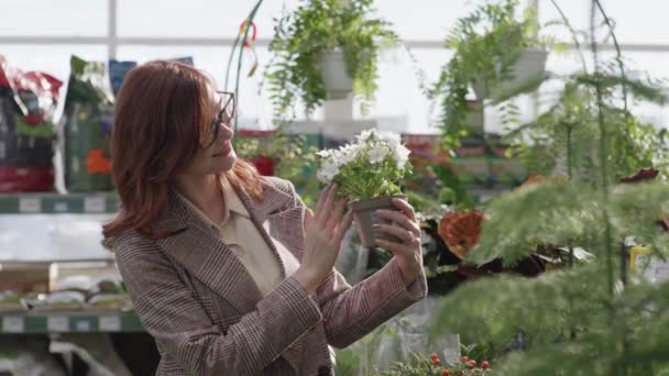 Portræt af smilende smuk kvinde med gryde med blomstrende planter i hænderne, pige smiler og ser på kameraet på baggrund af hylder med grønne planter i haven – Stock-video