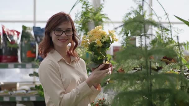 ビジョンのための眼鏡の魅力的な女の子は、ポットで装飾的な花を咲かせ、笑顔と開花店の温室で緑の植物のカメラの背景を見ています — ストック動画