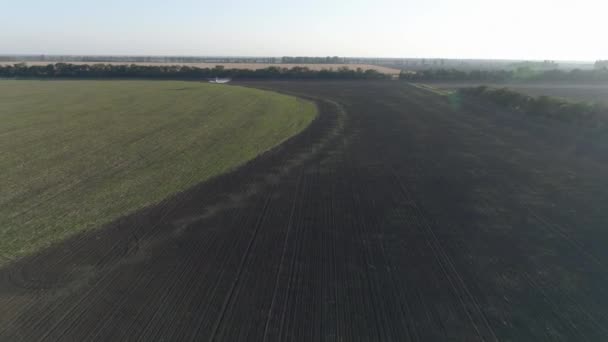 Agribusiness, vliegtuig vliegt over het veld met tarwe en spetterende pesticiden tegen ongedierte in de lucht zicht op vintage voortbewogen vliegtuigen vliegt prachtig over plantage — Stockvideo
