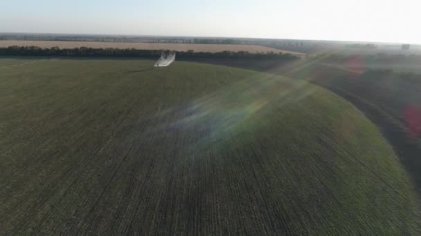 Vintage propeller plane in sunny sky flies over green field with wheat and splashing chemicals against pests — Stock Video