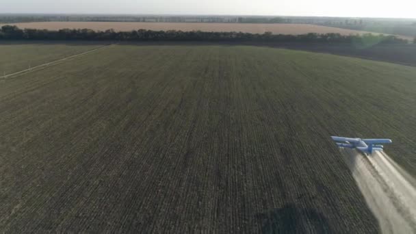 Agricultural airplane flies over Grain field and splashing chemicals against parasite — Stock Video