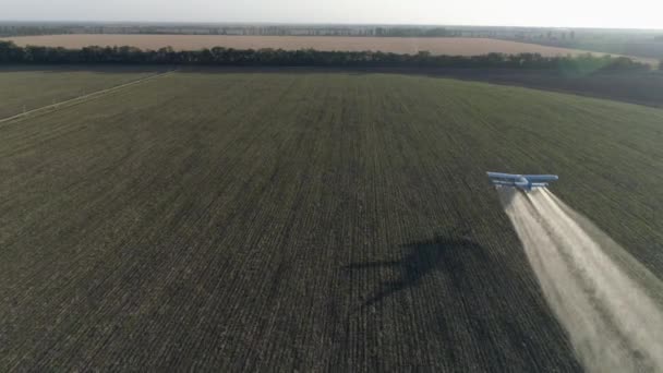 Old propeller plane flies over green field with wheat and makes fertilizer spraying into agricultural — Stock Video