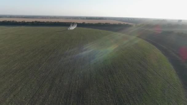 Agricultura Aviones sobrevuelan el campo con trigo y hacen tratamiento químico contra plagas — Vídeos de Stock