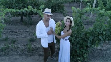 harvesting, drone view on couple with ripe grapes looks on camera and smiles at countryside