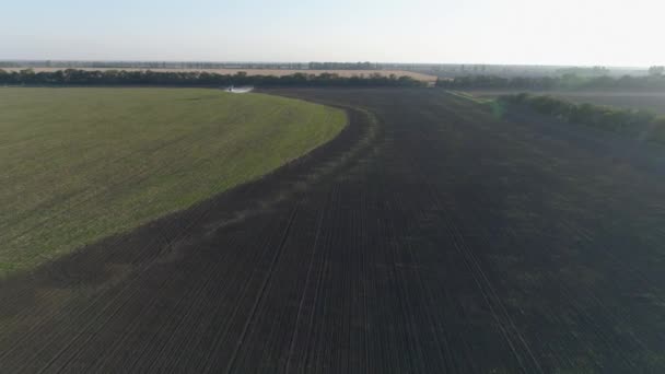 畑の上を小麦で飛行し害虫に対して化学物質を撒き散らしますヴィンテージ推進飛行機が美しくプランテーションの上を飛ぶ — ストック動画