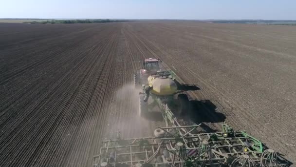 Seeding wheat field, tractor with plow sows grain in ground at planting season at autumn — Stock Video