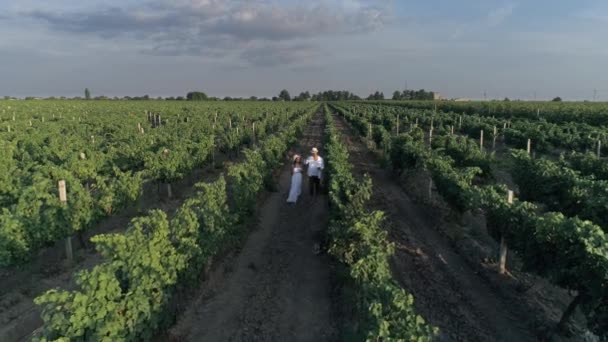 Сельская местность, вид с высоты на пару бесед на свежем воздухе во время прогулки между рядами виноградников — стоковое видео