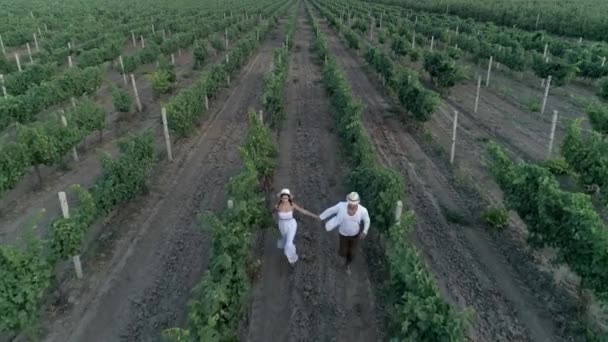Profiter de la nature ensemble, couple tenant la main courant sur le champ de raisin — Video