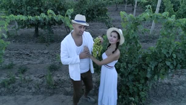 Уборка урожая, вид беспилотника на пару с спелым виноградом смотрит в камеру и улыбается сельской местности — стоковое видео