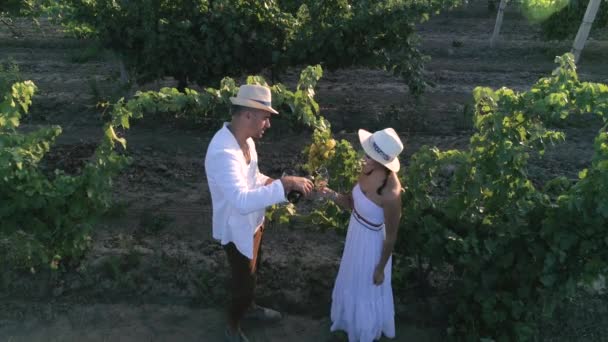 Loving couple clinking glasses with wine near bushes with grapes, aerial view — 图库视频影像