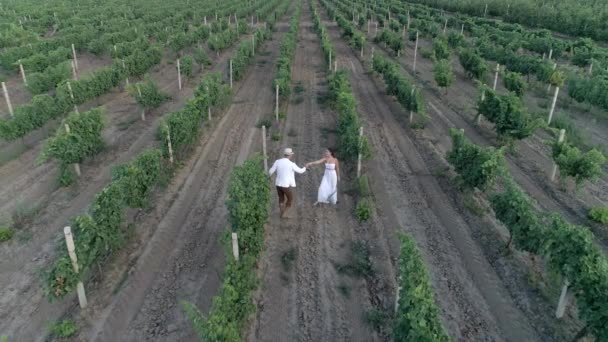 Романтическая пара фермы танцы и бег на винограднике в замедленной съемке, вид с воздуха — стоковое видео