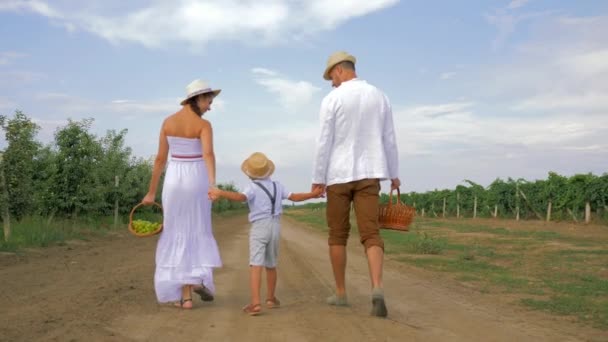 Attractive couple with kid holding hands goes on picnic with baskets and in hats, back view — ストック動画