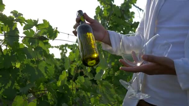 Vendemmia autunnale di uva, mani contadine che tengono bottiglia di vino e bicchieri su sfondo di bacca matura alla luce del sole — Video Stock