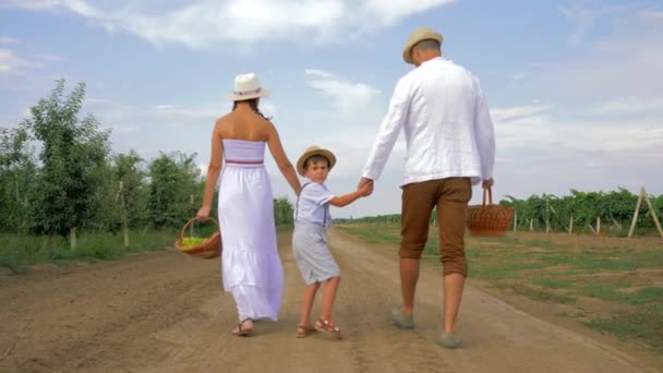 Promenade en famille rurale avec paniers de paille sur fond de vignoble et verger de pommiers pendant les récoltes, vue arrière — Video